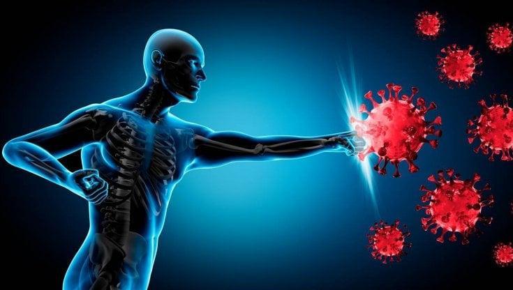 Immagine articolo Il Sistema Immunitario Umano
