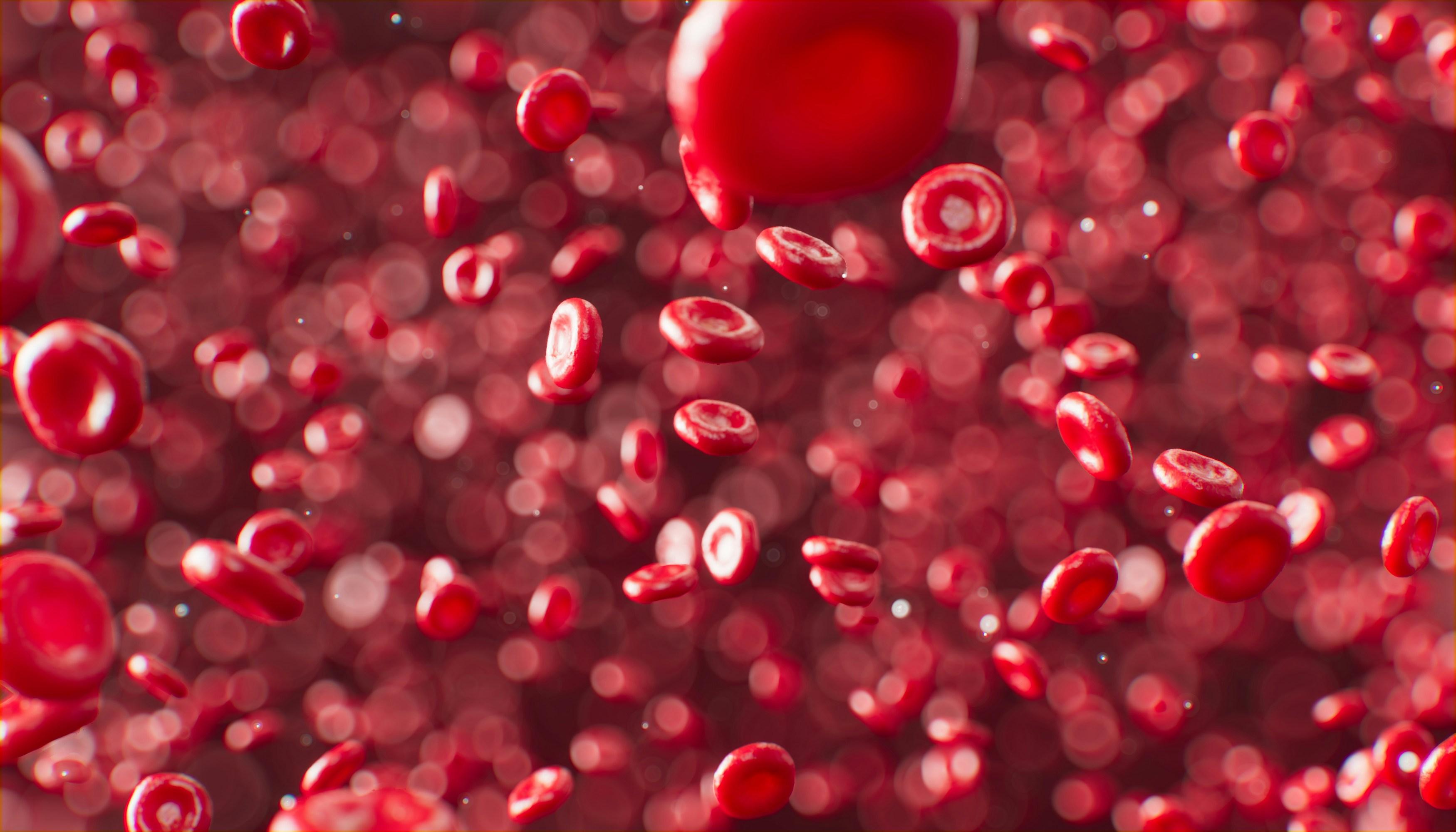 Immagine articolo L’Anemia