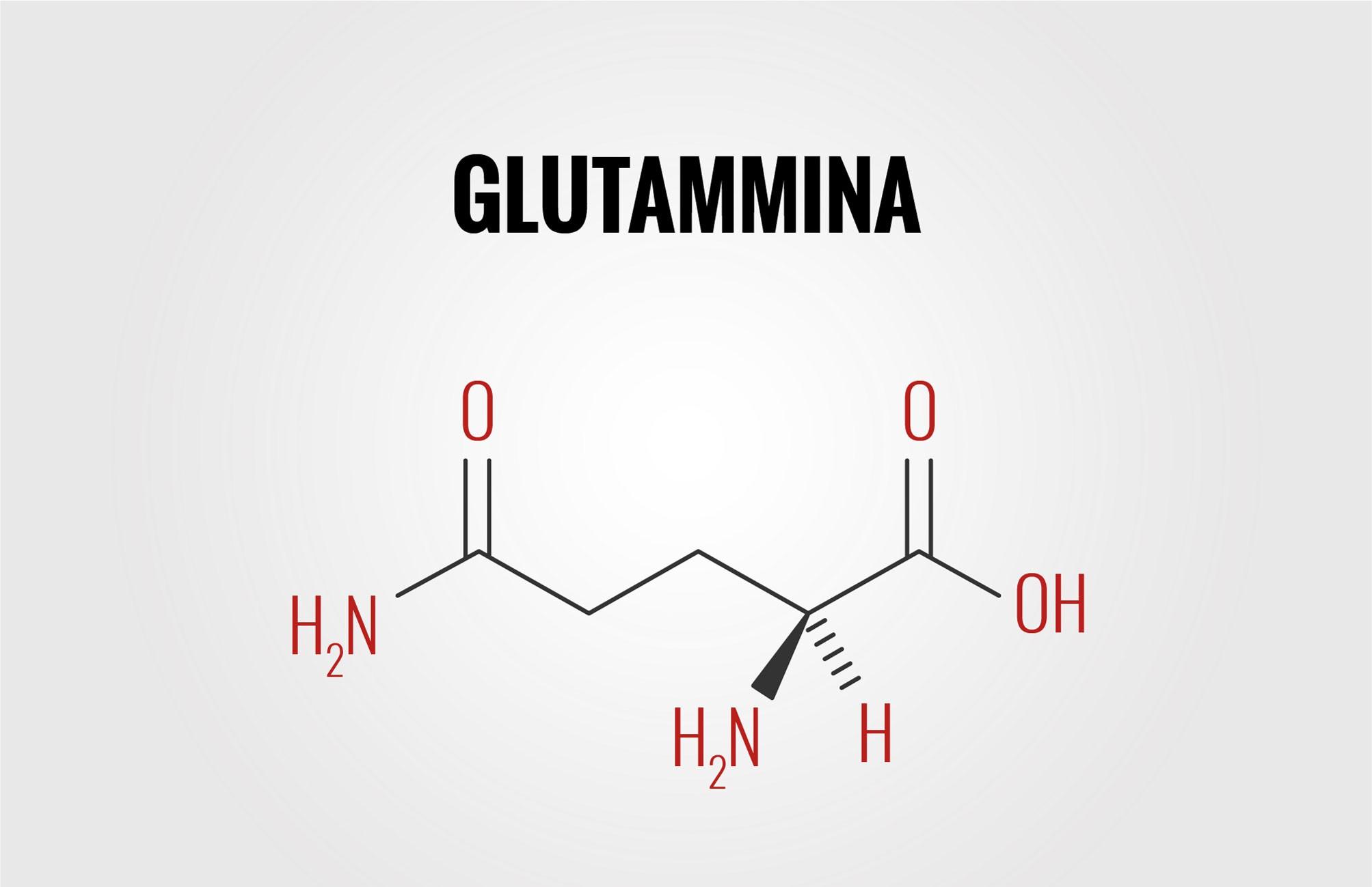 Immagine articolo La Glutammina