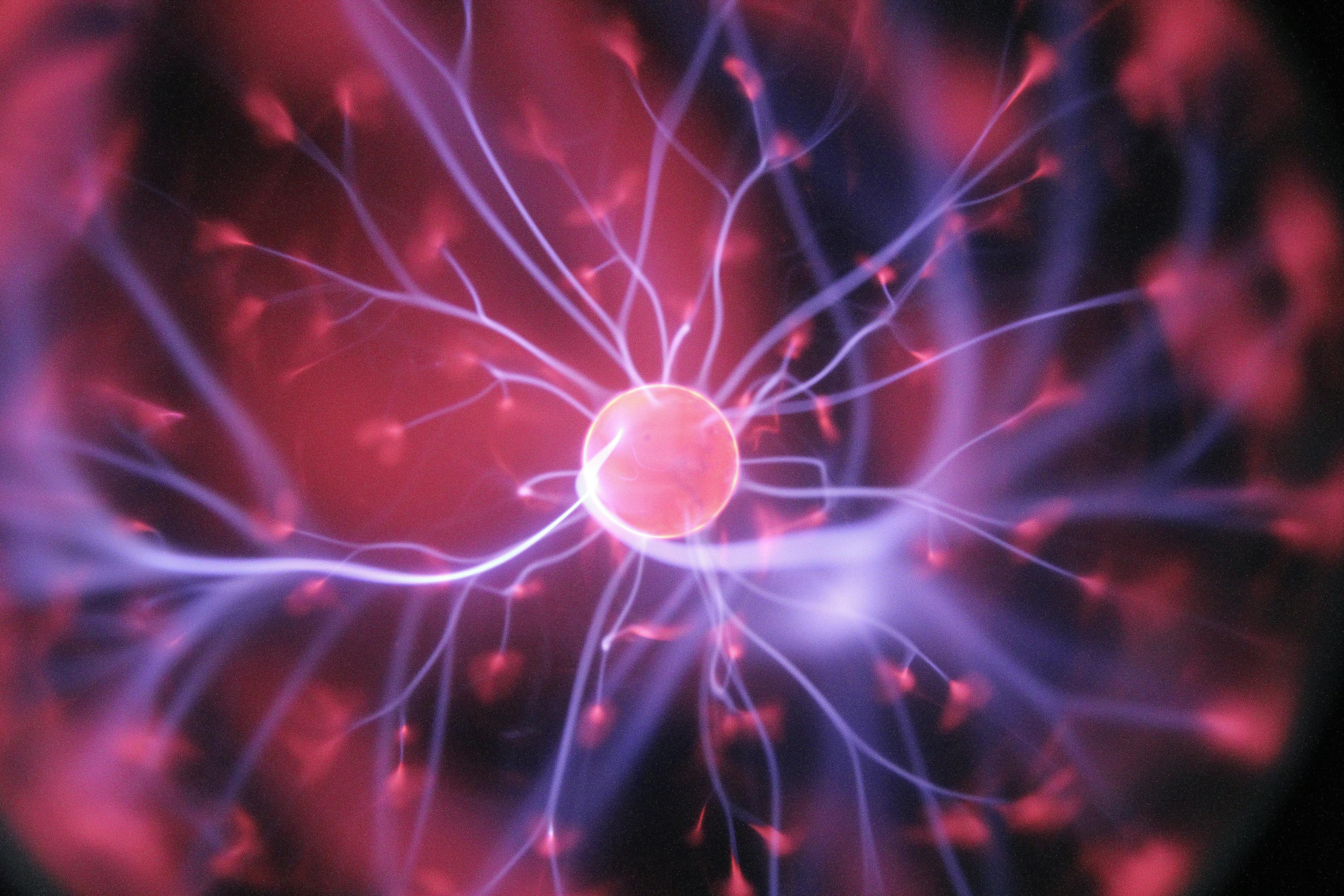 Immagine articolo La Neuroplasticità