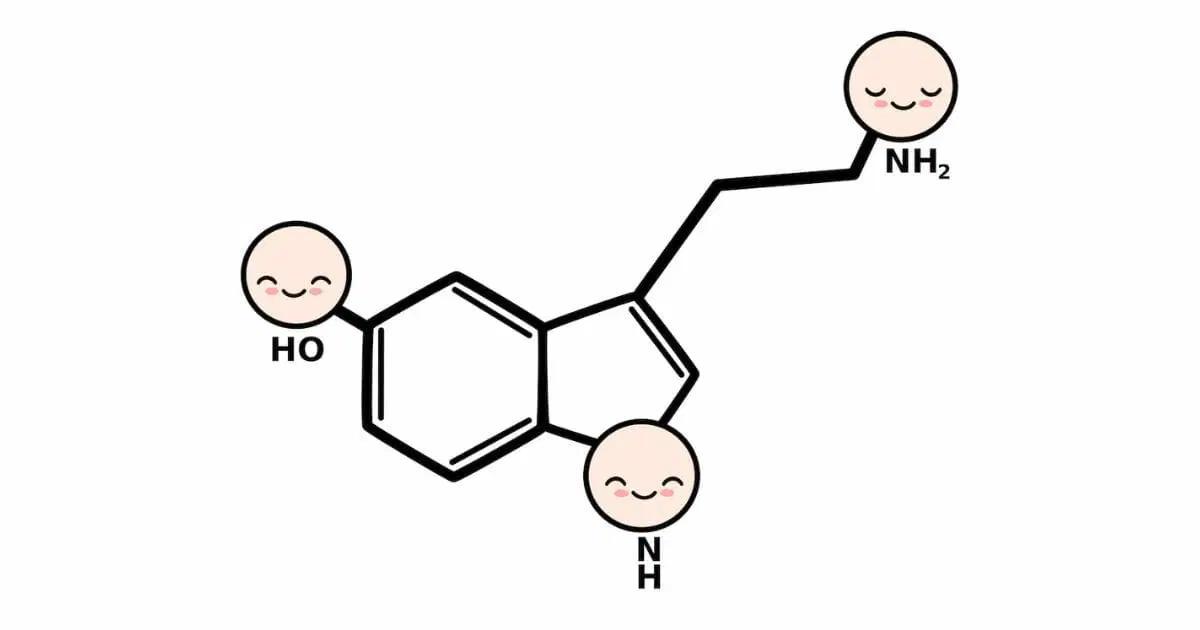 Immagine articolo La Serotonina