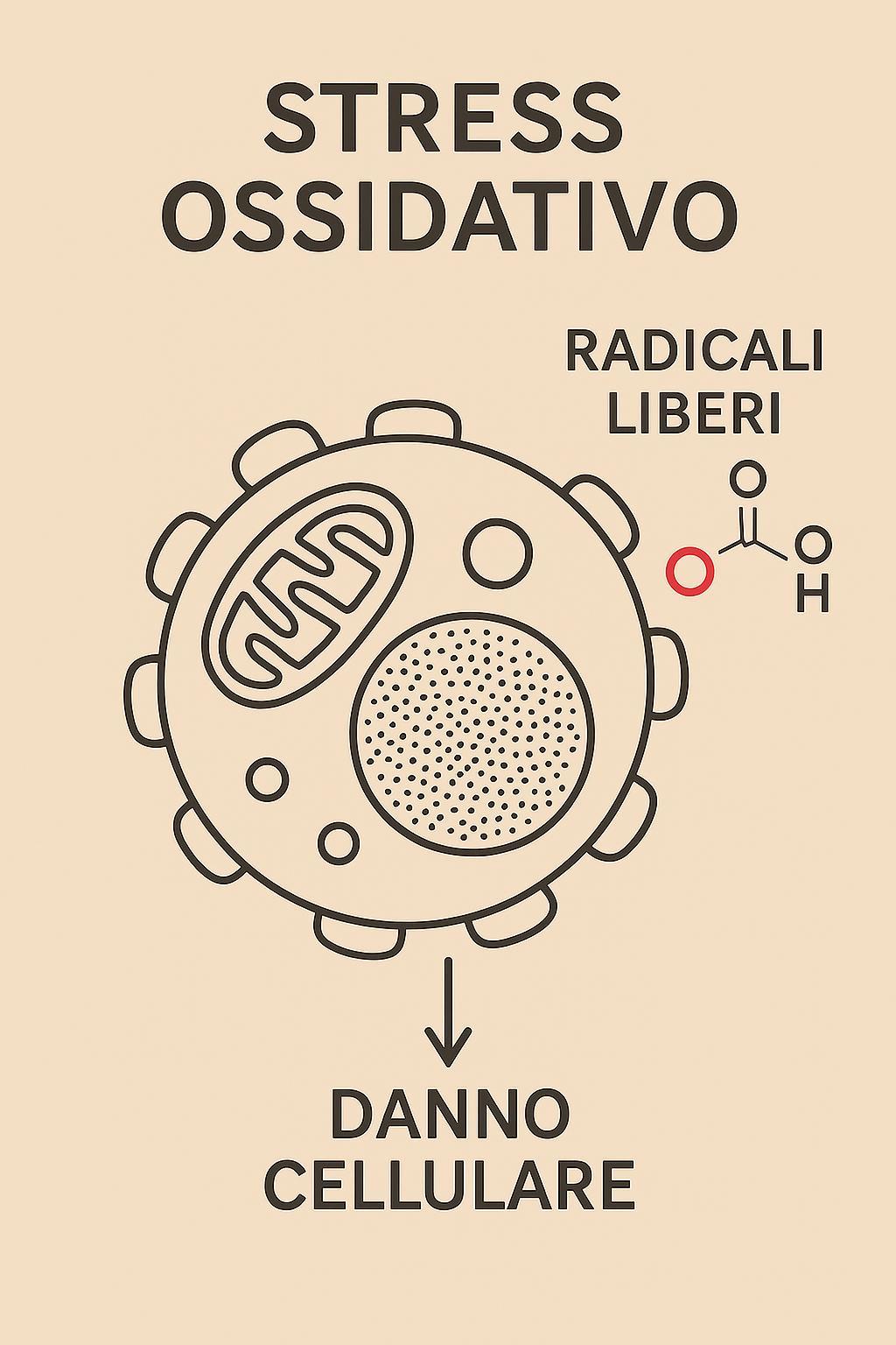 Immagine articolo Stress Ossidativo